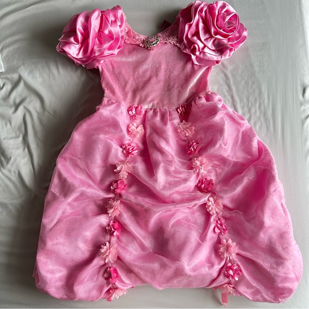 Girl’s Pink princess/ costume Floral Dress with Rosette Sleeves